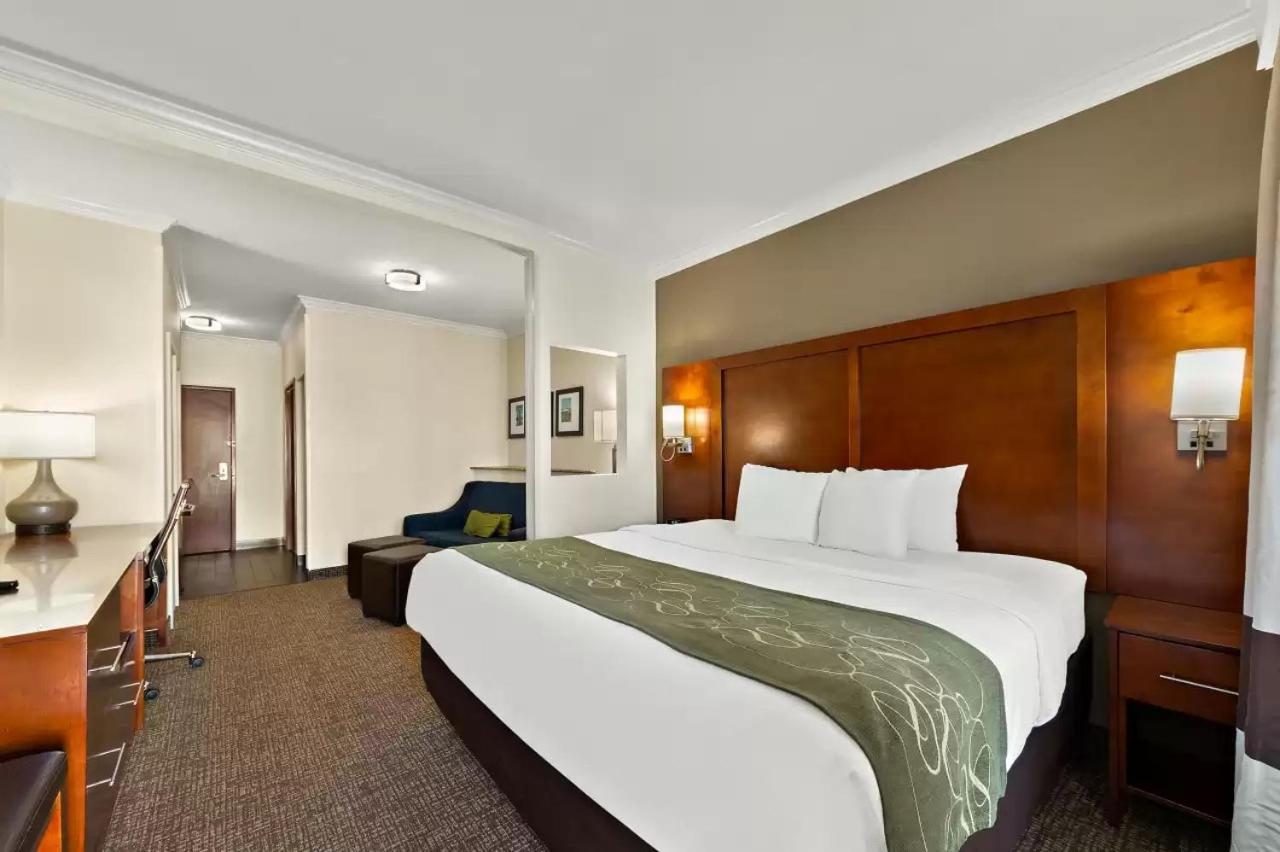 Comfort Suites Central Corpus Christi Buitenkant foto